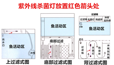 QQ圖片20180913113222.png